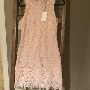 Skies Are Blue Champagne Lace Dress